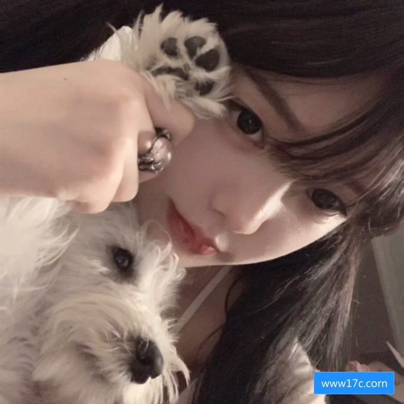 在线观看免费版网站有哪些，如何选择安全可靠的在线视频观看平台